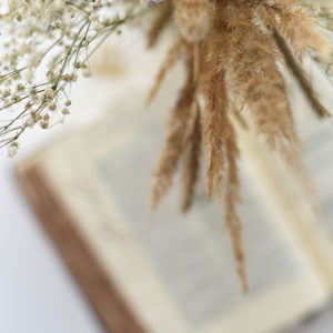 Objectivesintro Section Jasmin Ne Fatks8srwc Unsplash Objectivesintro Section Jasmin Ne Fatks8srwc Unsplash
